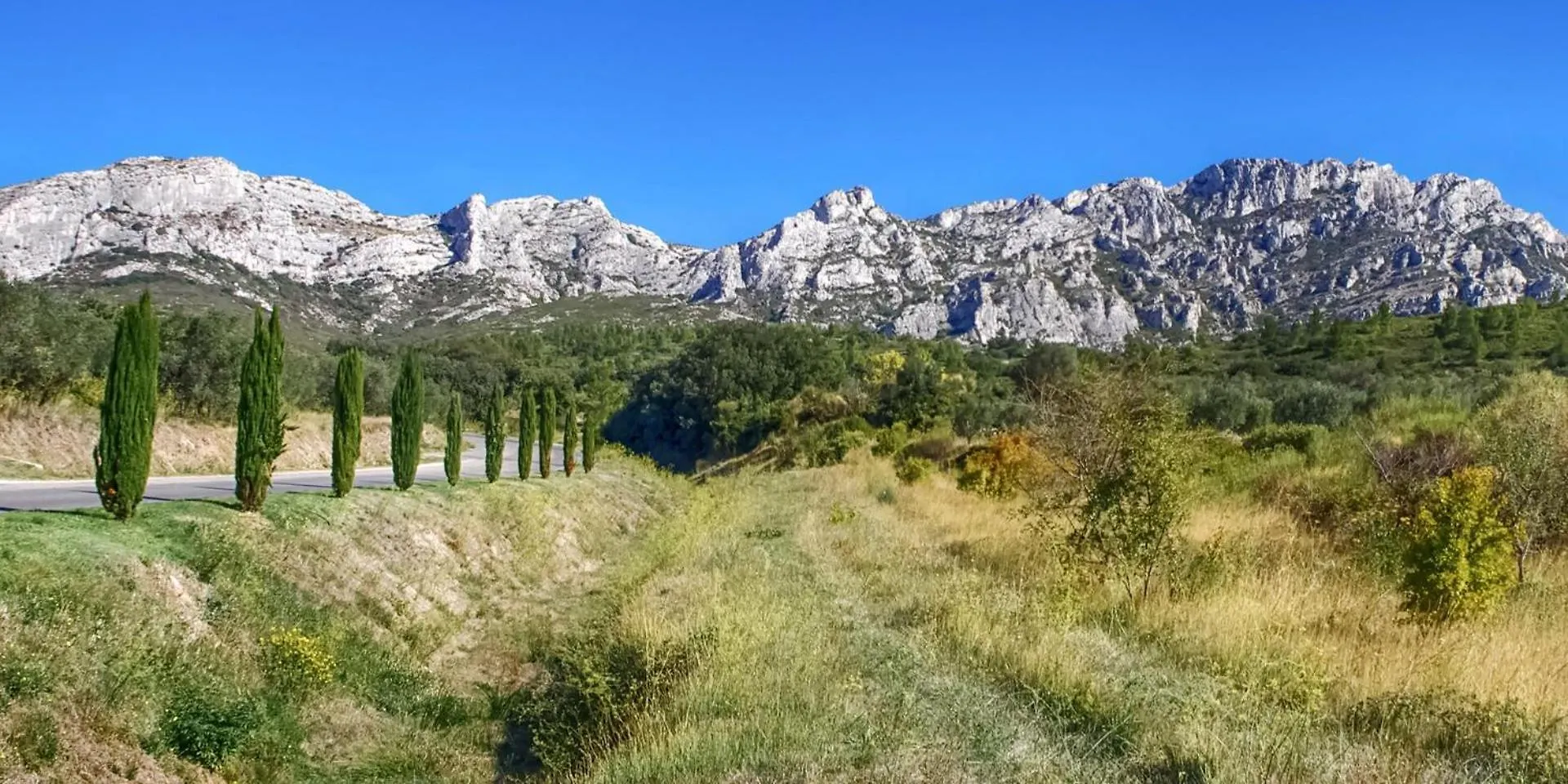 Appartement Agreable En Provence Saint-Rémy-de-Provence Γαλλία